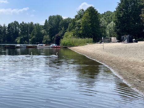 Genießen Sie die Natur – mit Blick auf den Strand