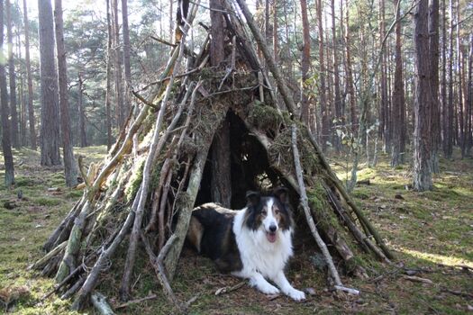 Wanderung im Wald zwischen Juliusruh und Glowe
