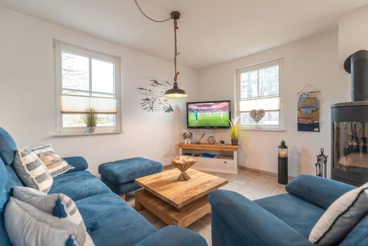 Wohnbereich mit TV und Kamin