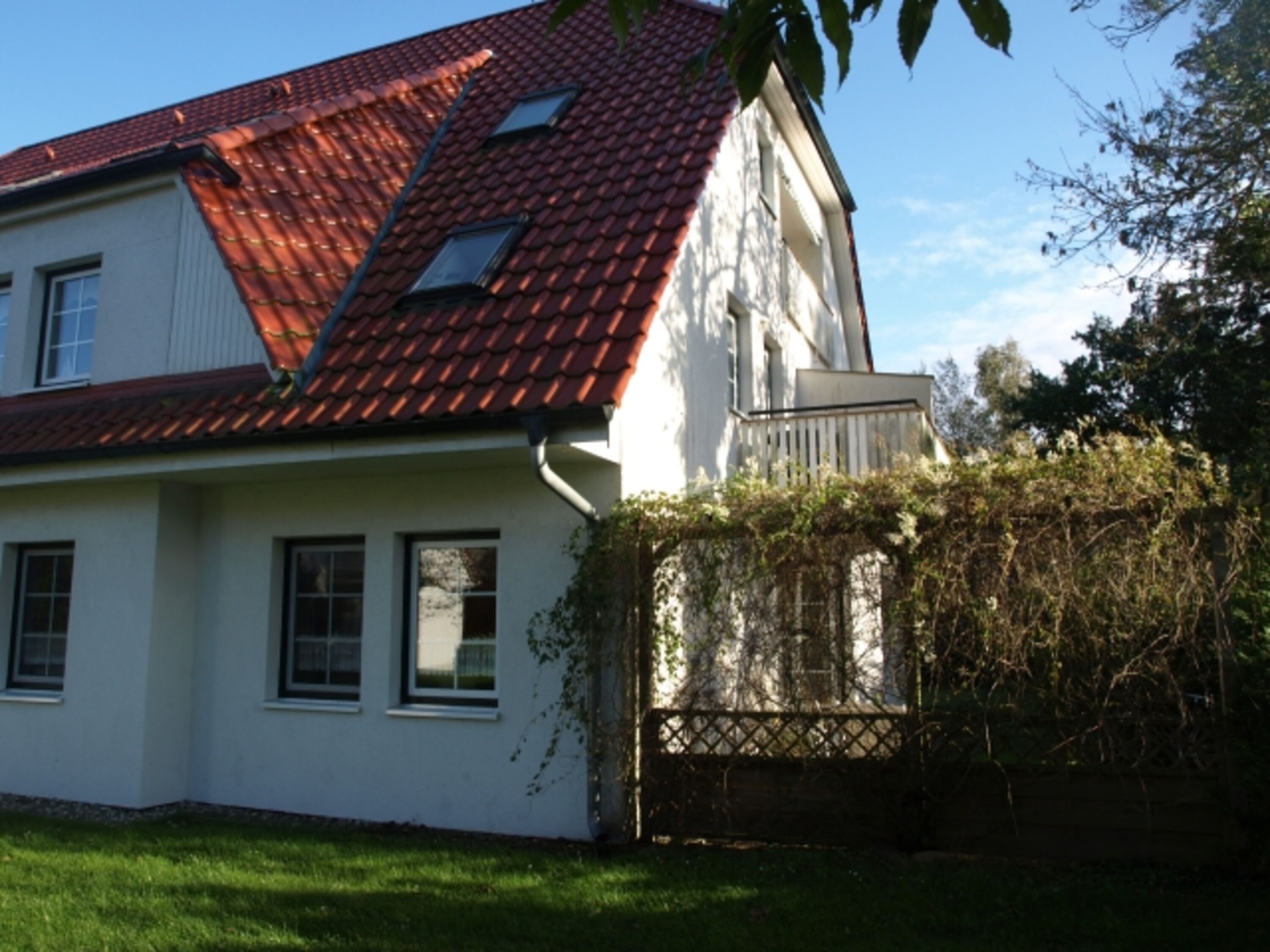 Blick zur Terrasse
