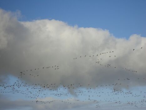 zurück aus dem Süden