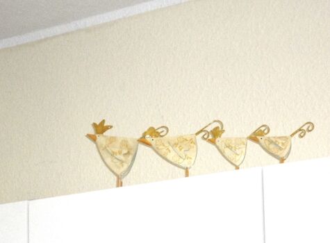 Diese Vögel brauchen kein Futter