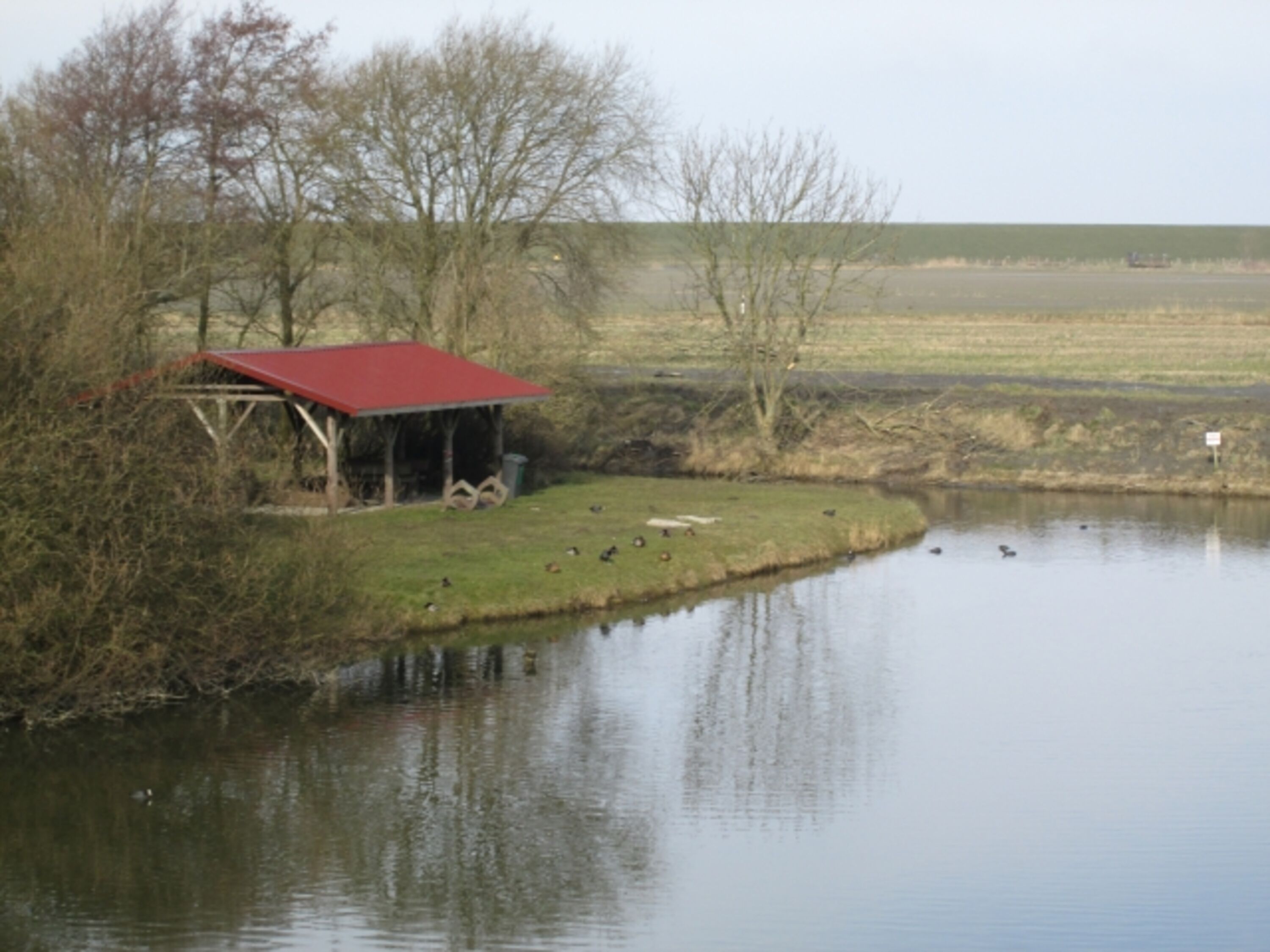 Der Teich an der Drachenwiese