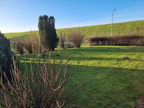 Der komplett eingezäunte Garten