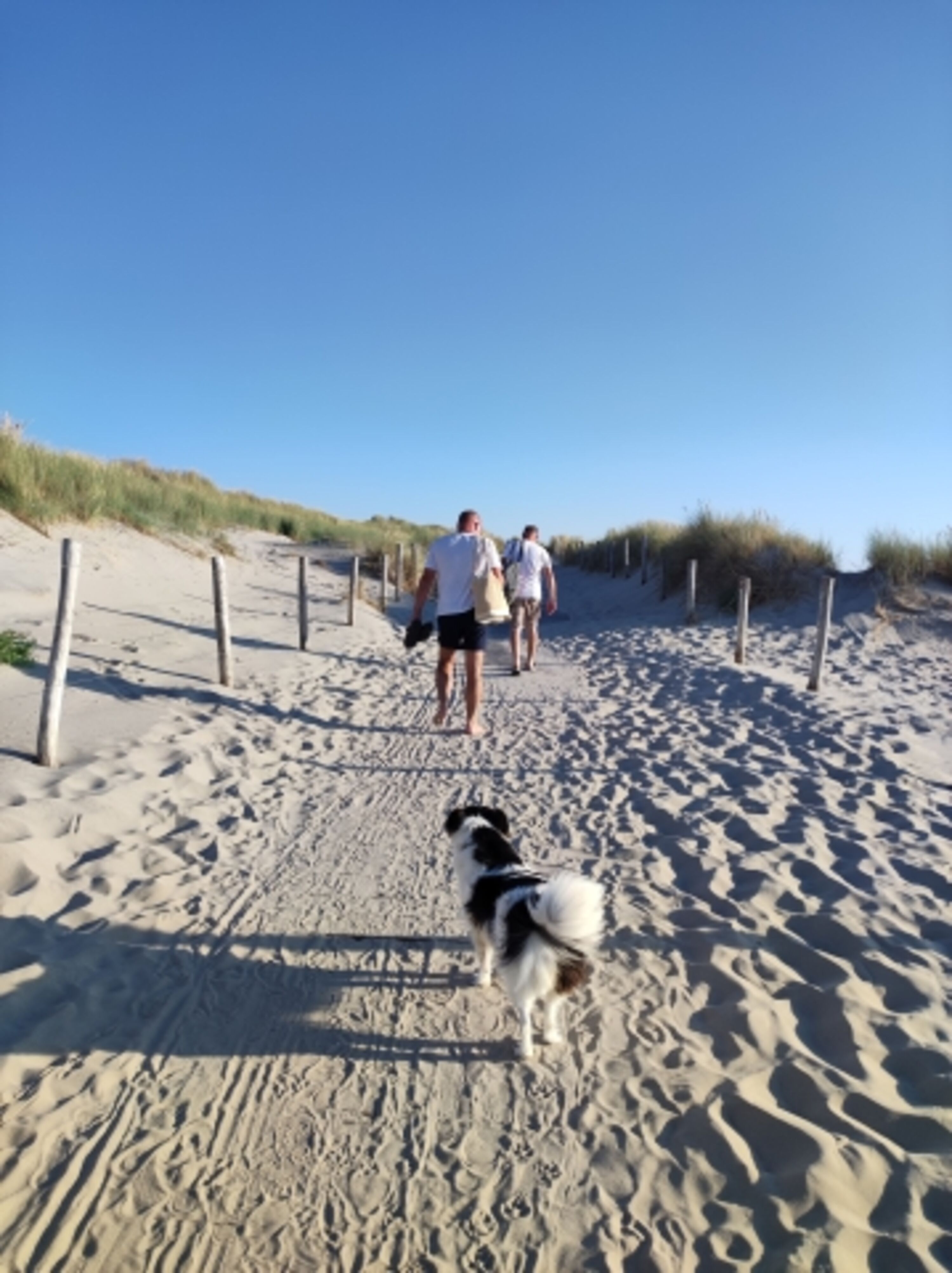 weißer Sand.......