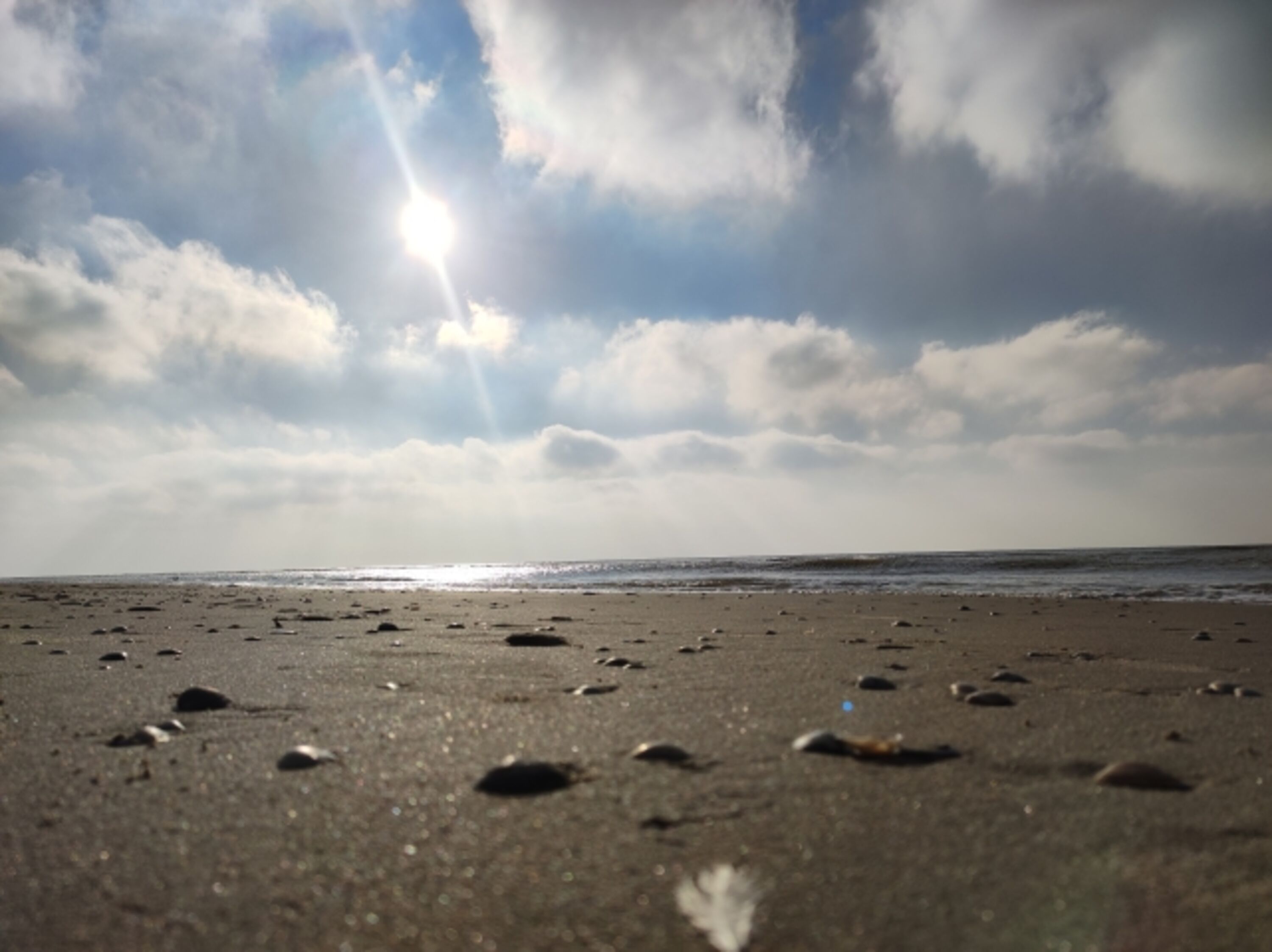 Bild 18