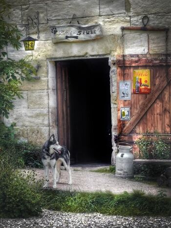 Historische alte Mühle