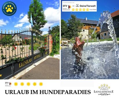 Urlaub im Hundeparadies - Ferienhaus mit Hundepool, 8000 m2  ...