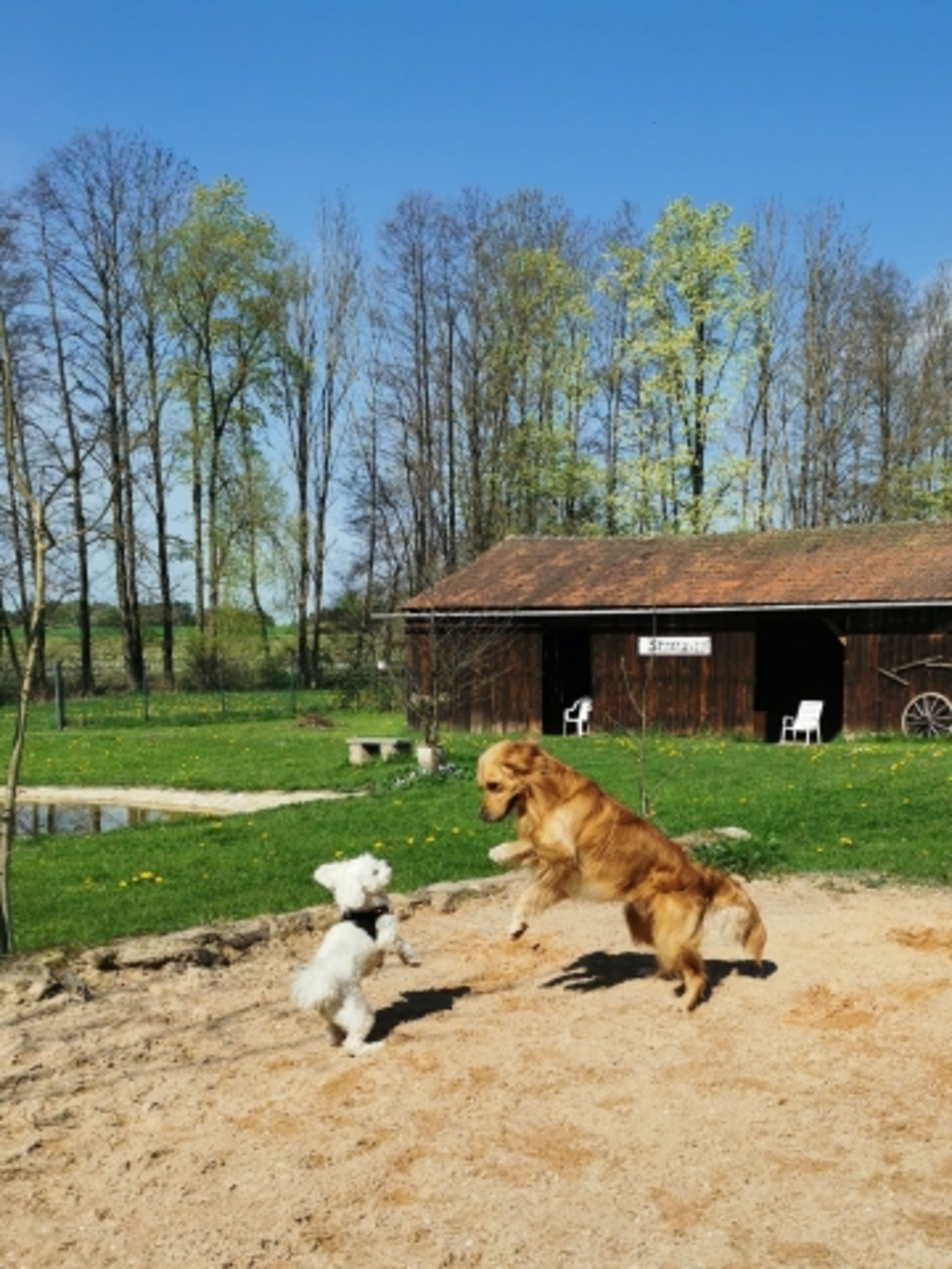 Großer Buddelplatz