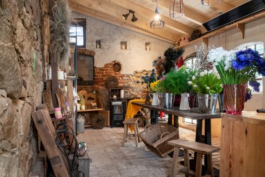 Kräuterkate für Kreativität