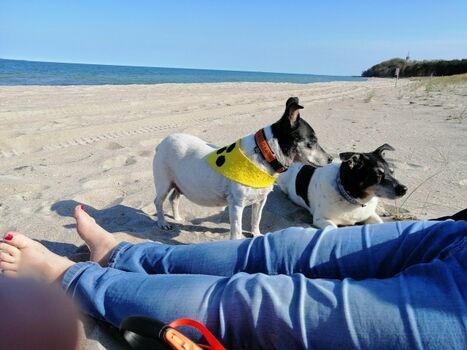 Am Strand von Thiessow / Rügen