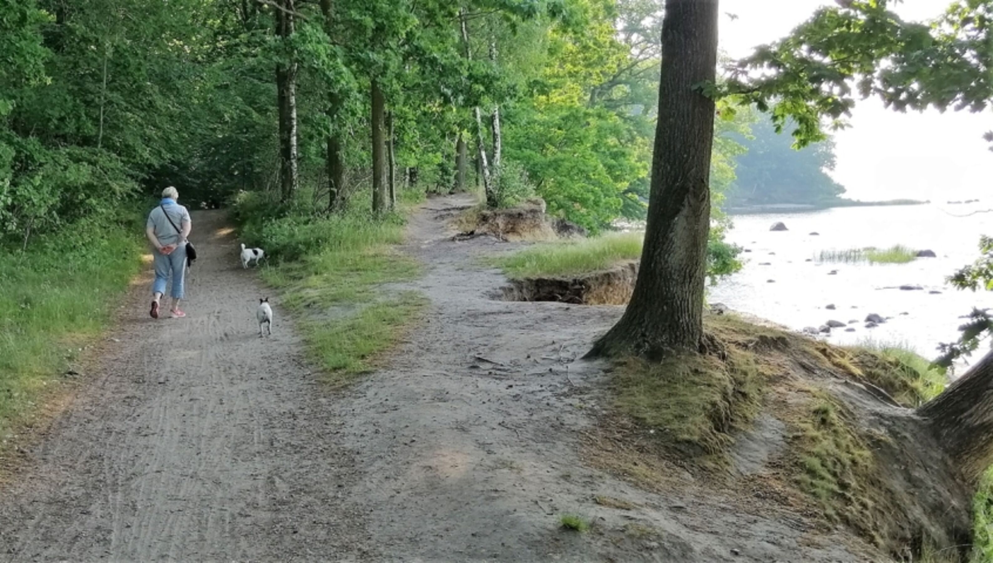 Naturstrand und Wald in Wreechen/Putbus/Rügen