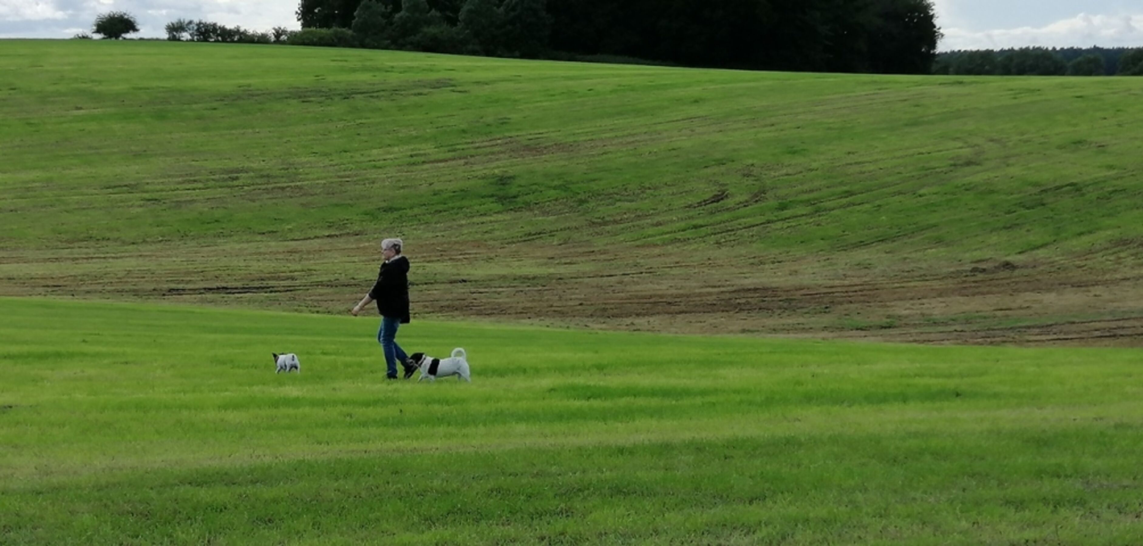 Endlose Wiesen in Gustow / Rügen