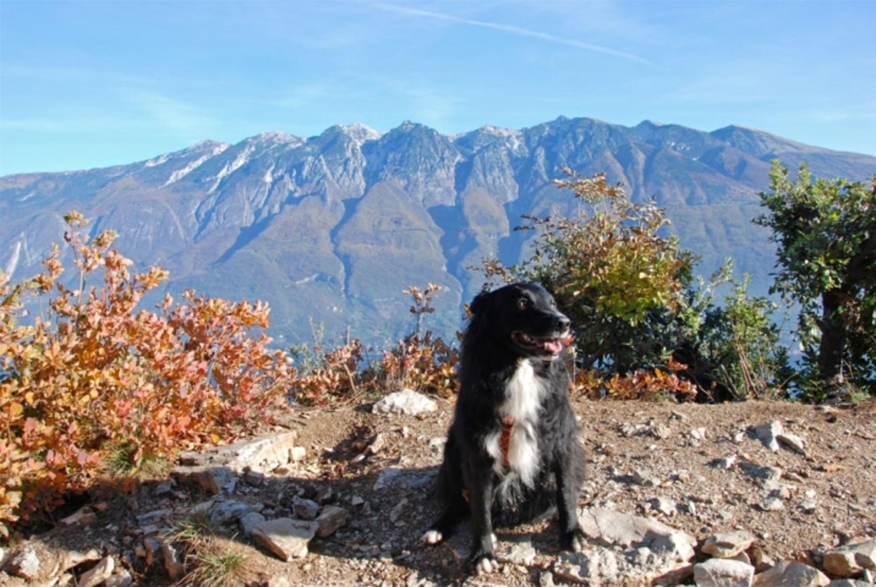 Auf dem Monte Cas