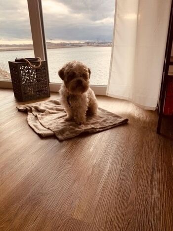 Blick vom Wohnzimmer 