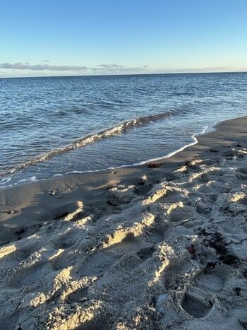 Schönhagener Strand