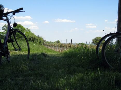Eine tolle Region zum Fahrradfahren