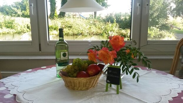 Große Fenster mit viel Licht und Blick auf den Garten
