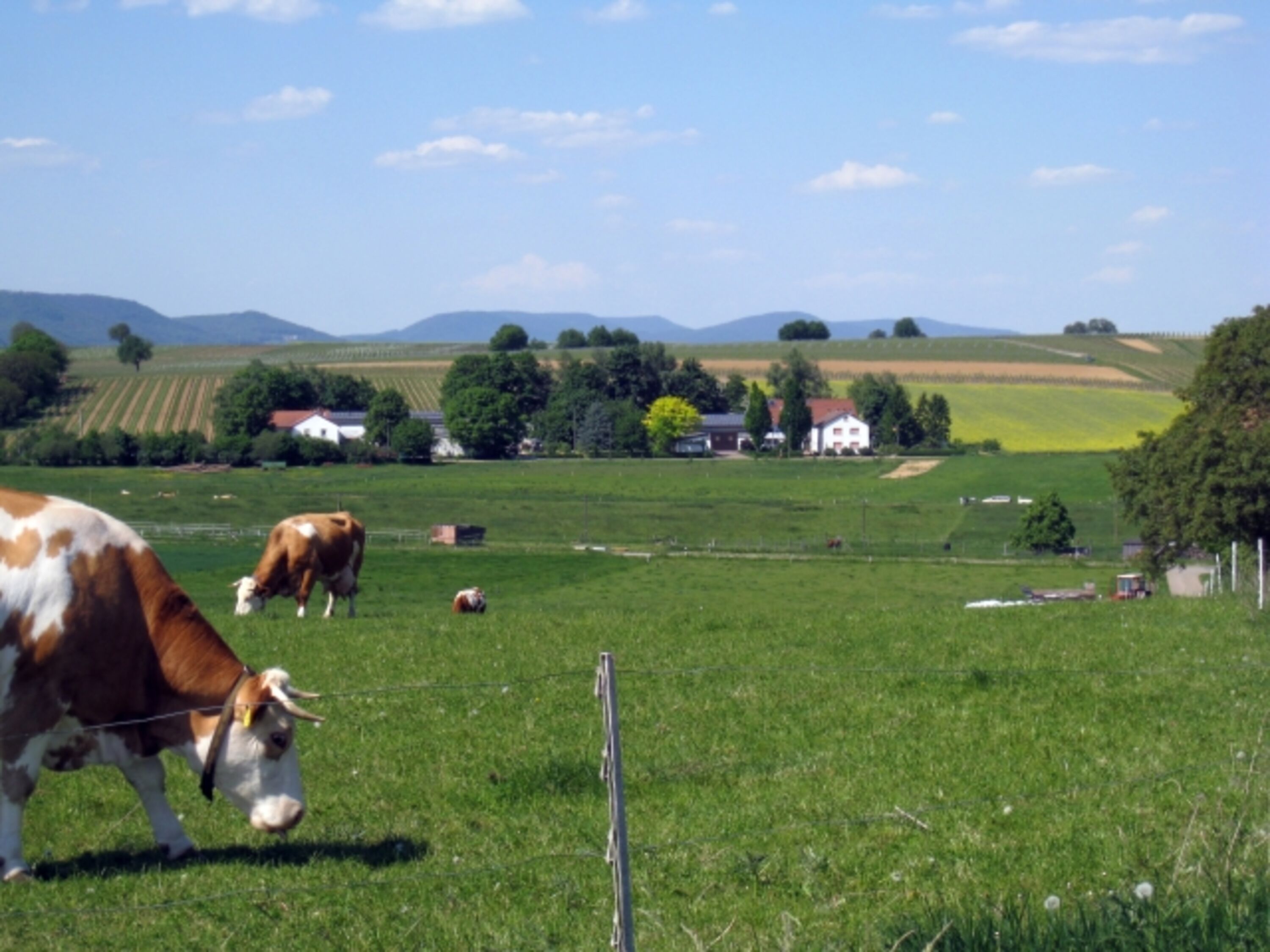 Landschaftlich schön gelegen inmitten von Feldern