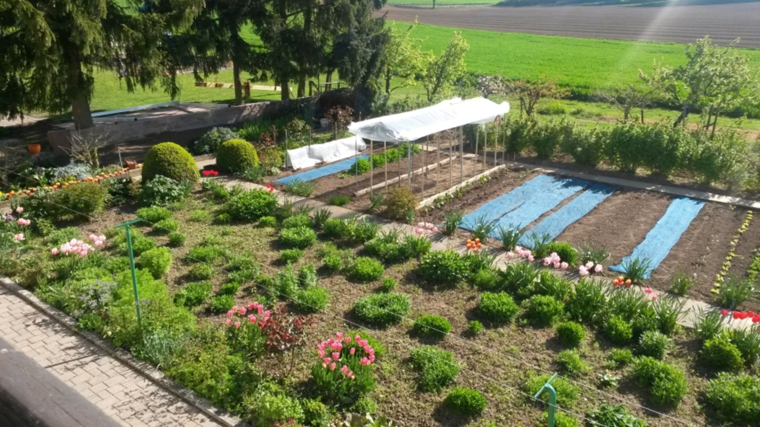 Unser Nutzgarten