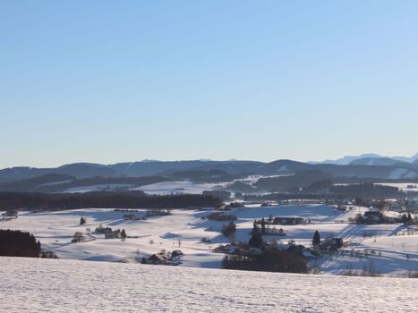 Alpenpanorama / Umgebung