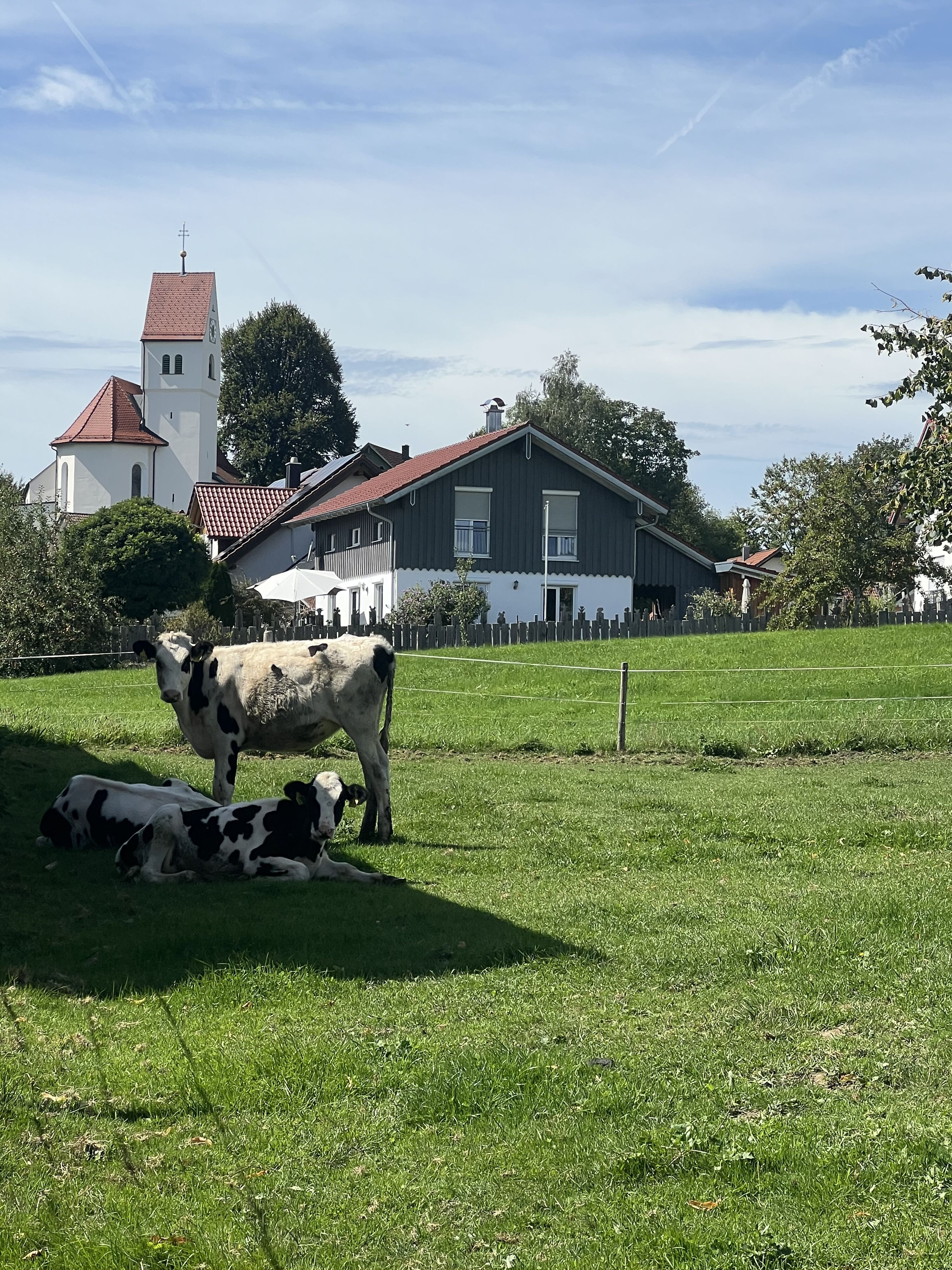 Sicht vom Bauernhof Brauchle