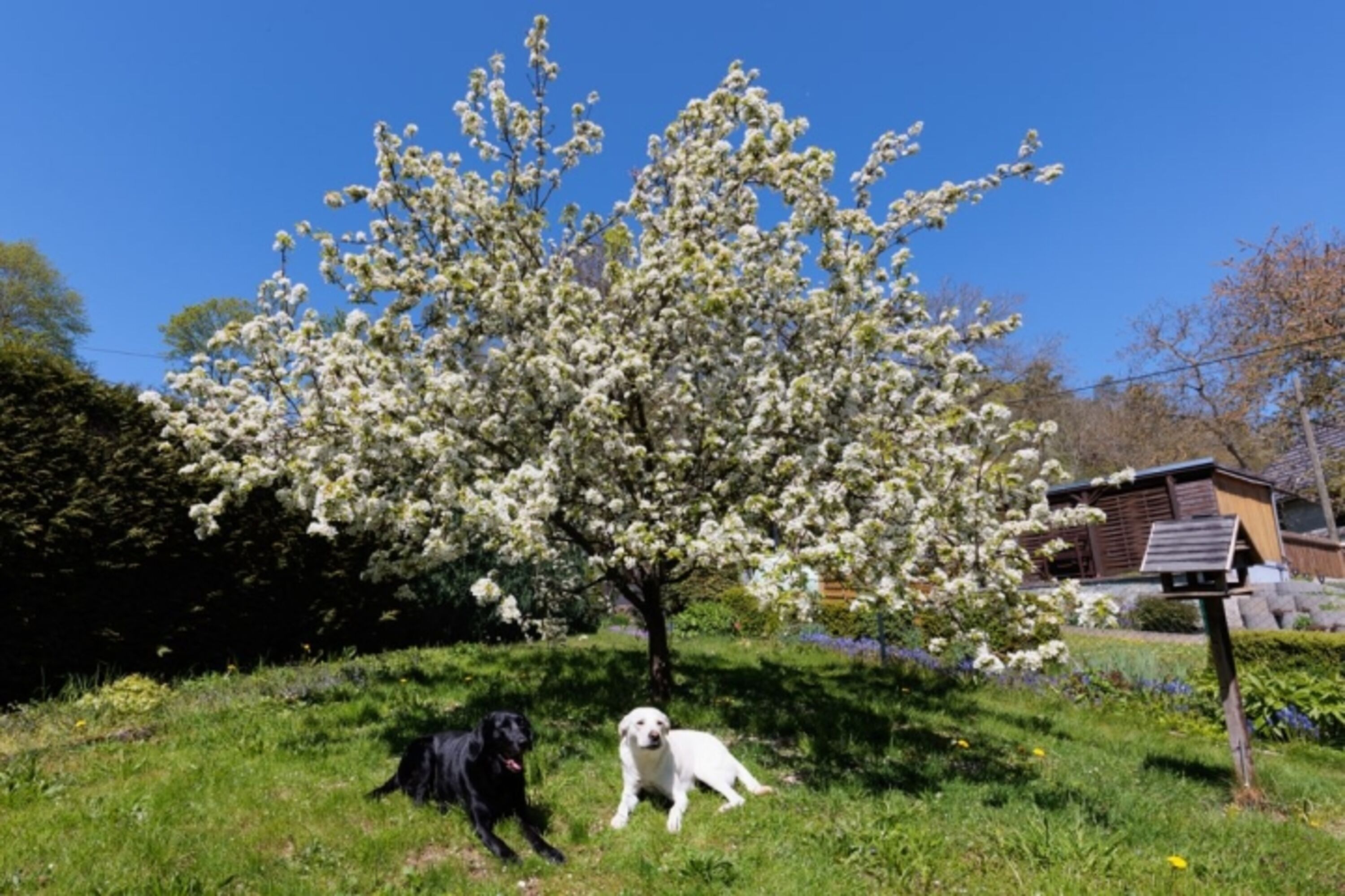 Bild 5