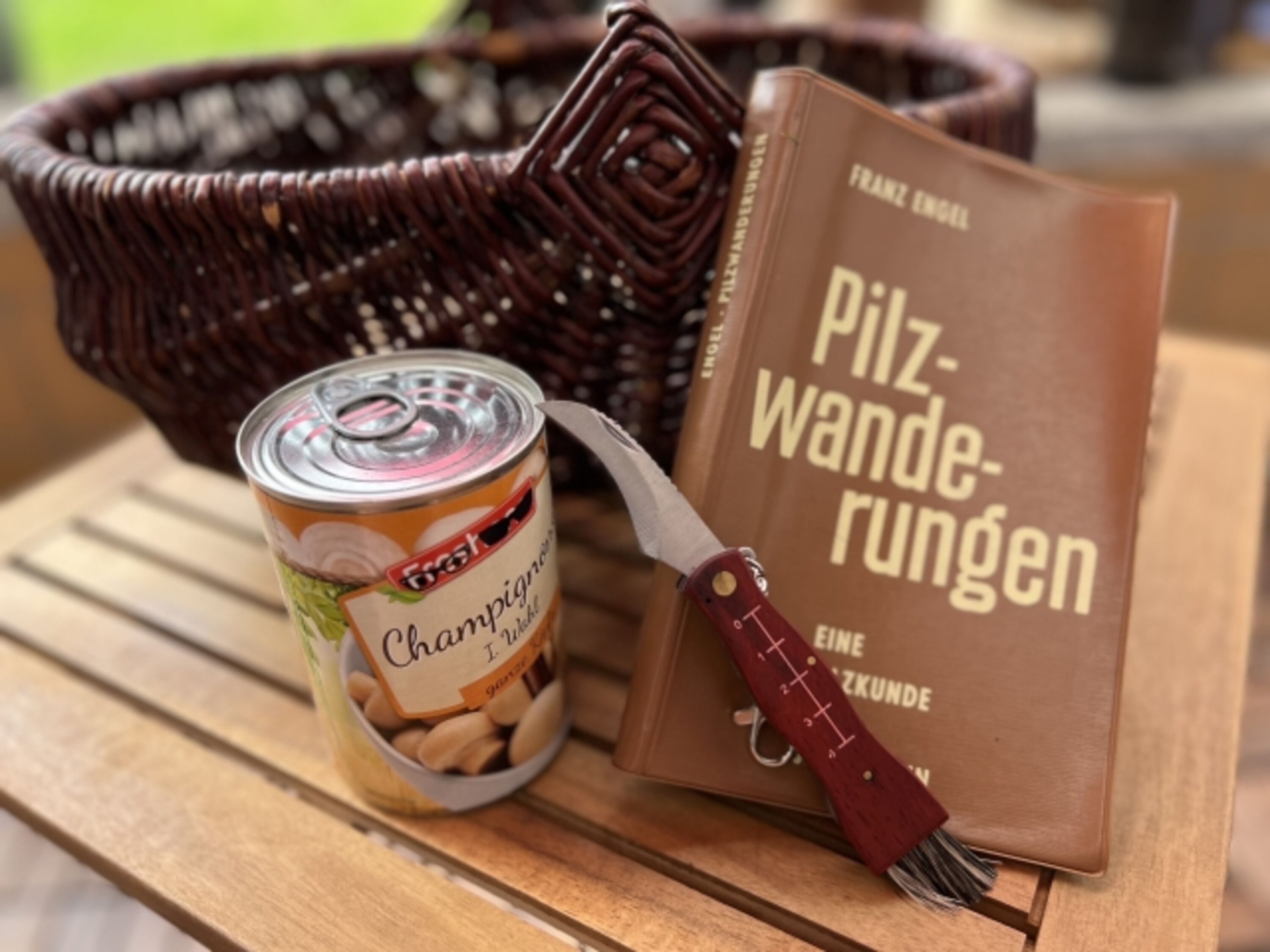 Bild 17