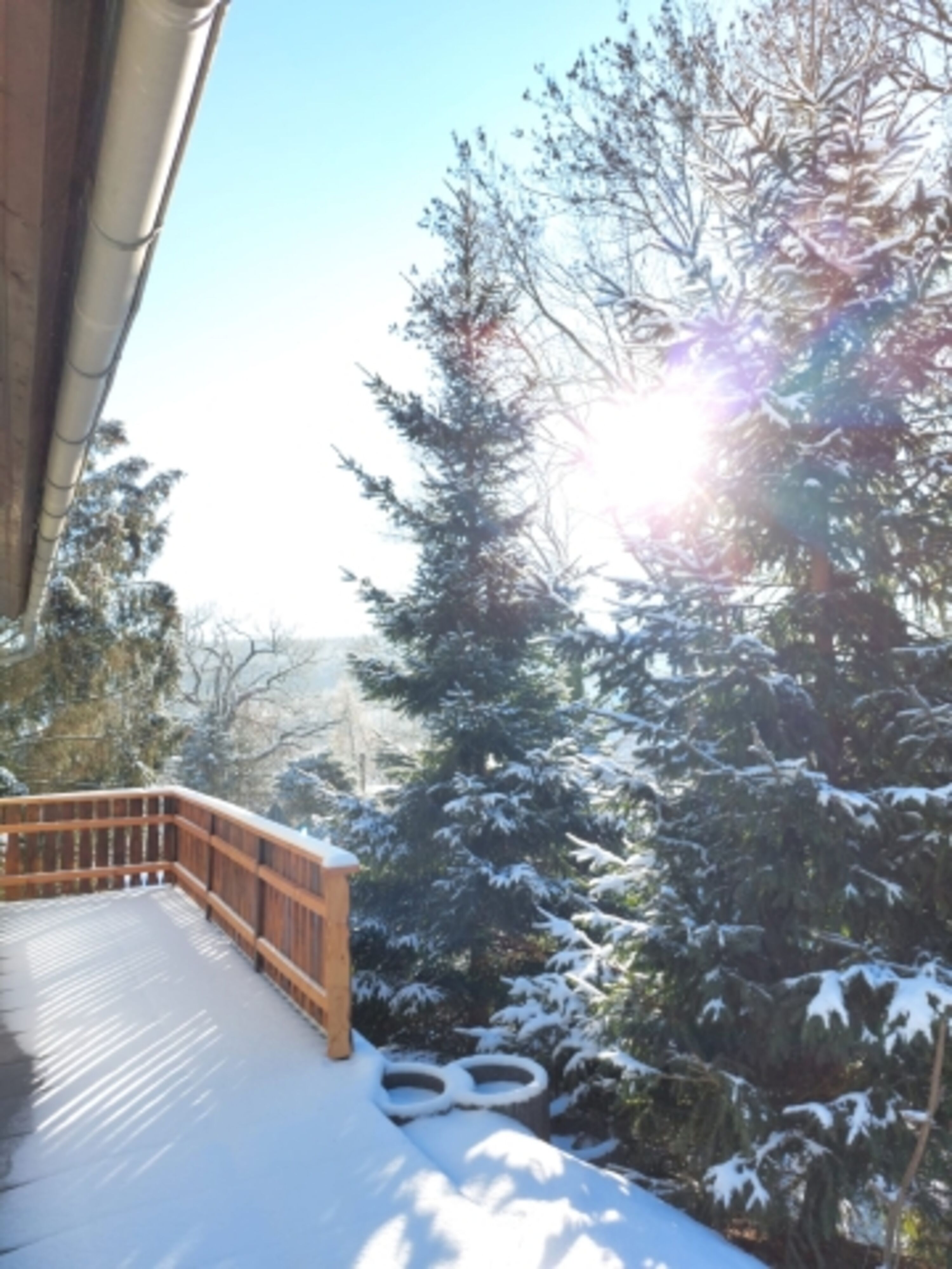 Winterimpression