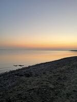 Ferienhaus am Meer Holland Sauna Whirlpool Hund 