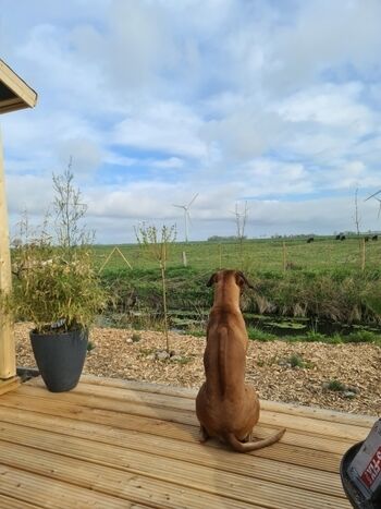 ruhige Lage mit Blick in die Weite