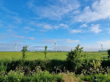 Ruhige Lage mit Blick in die Weite