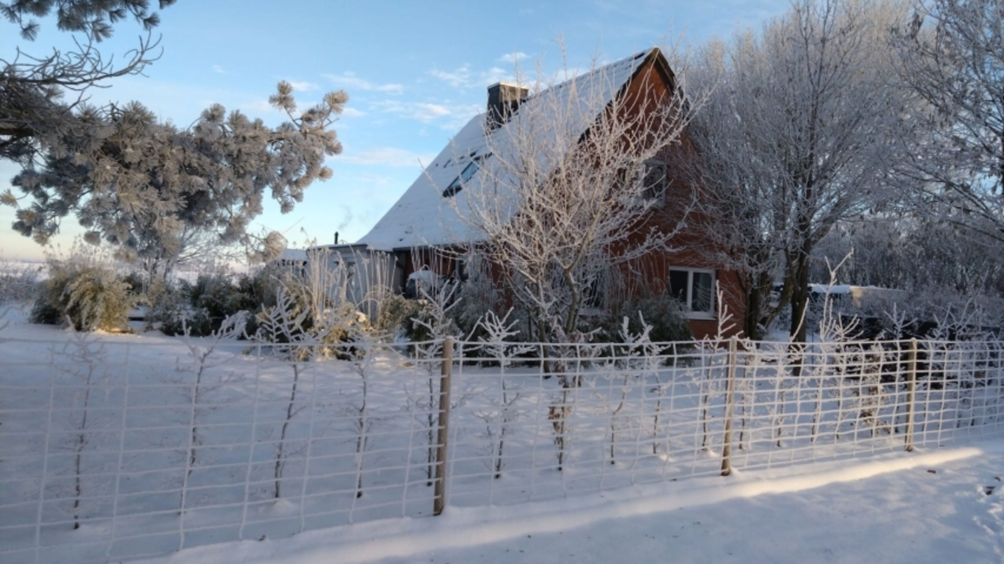 Winter 