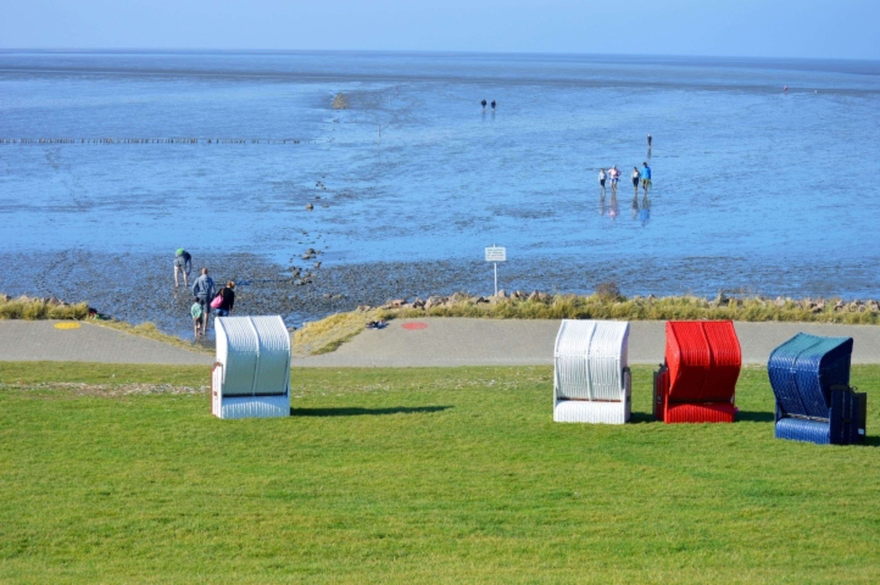 Der Grünstand in Friedrichskoog