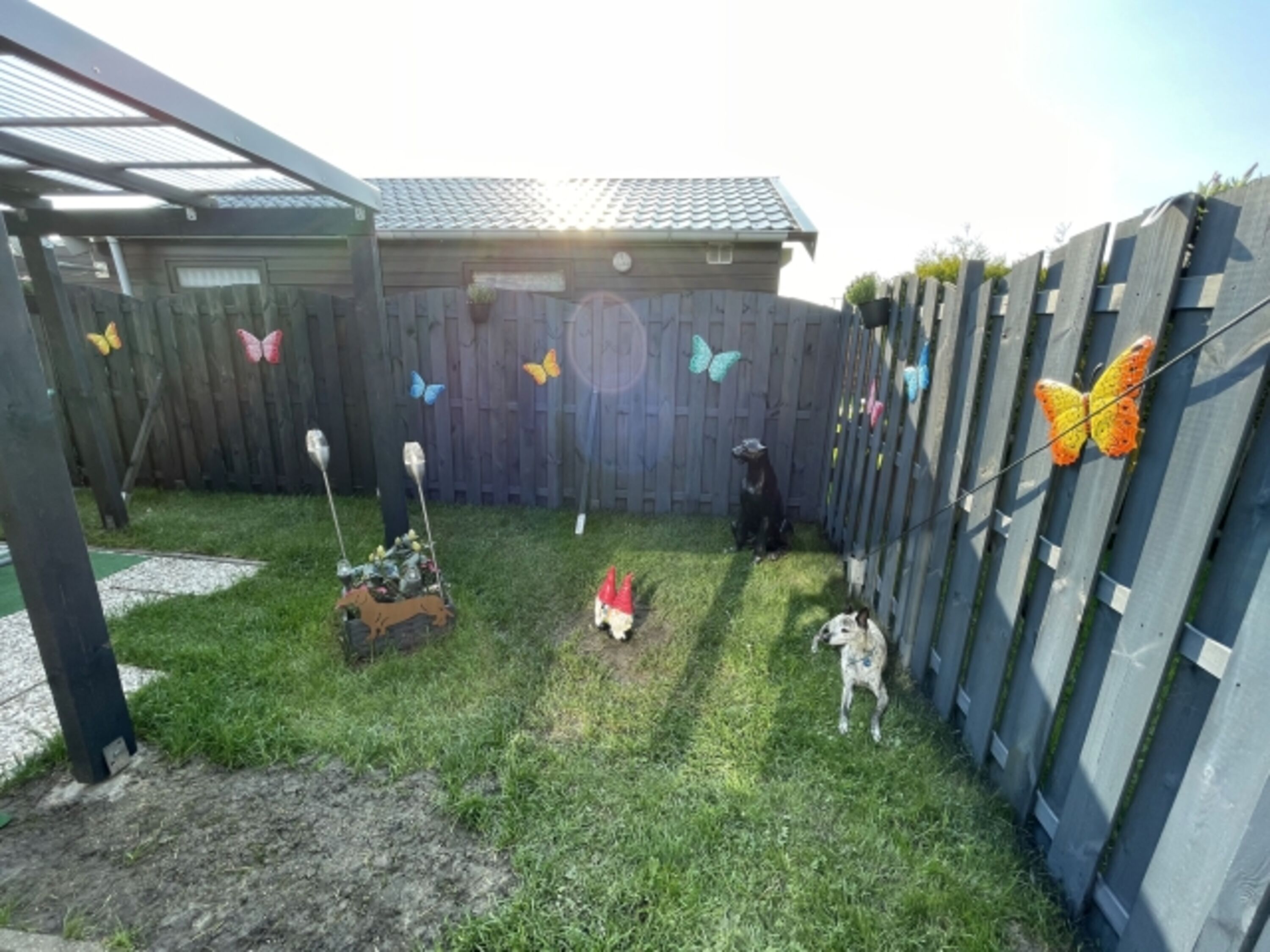 Bild 12