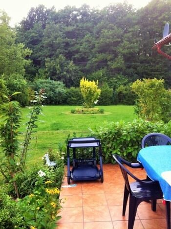 Der Blick von der Terrasse in den Garten 