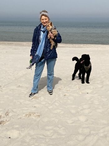 Ob große, oder kleine Hunde, sie können Ihre Lieblinge  zum Strand  mitnehmen