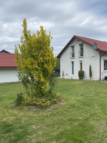 Das Haus ist groß umgeben von einem idyllischen Garten