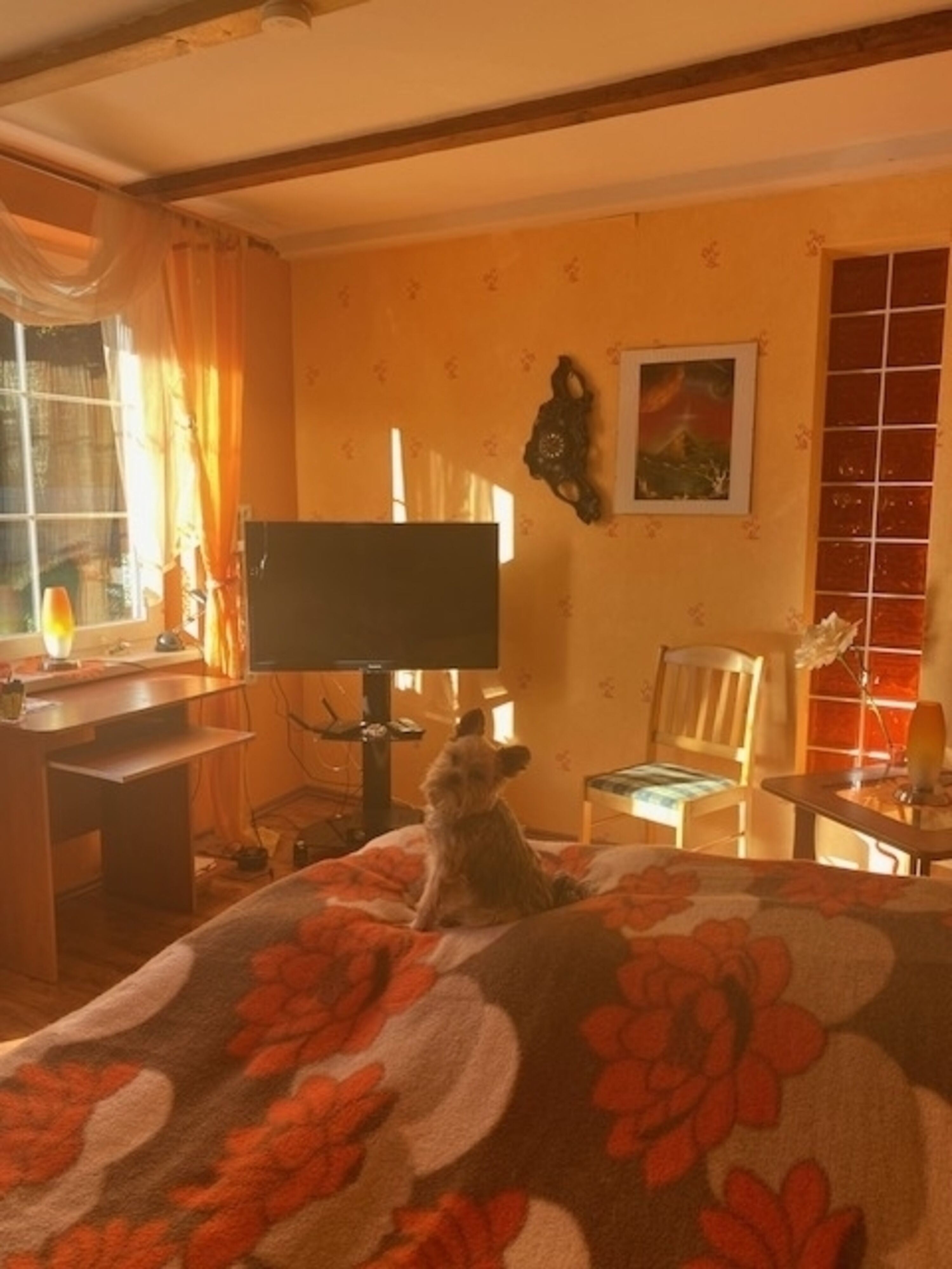 Man kann hier ein Mittagschläfchen ,oder fernsehen oder auch im Internet nachschauen