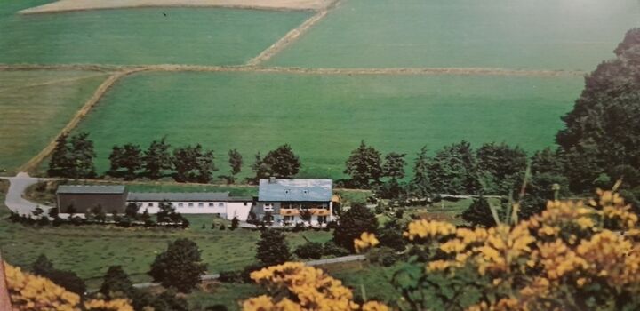 dies sind einige aktuelle Bilder : )