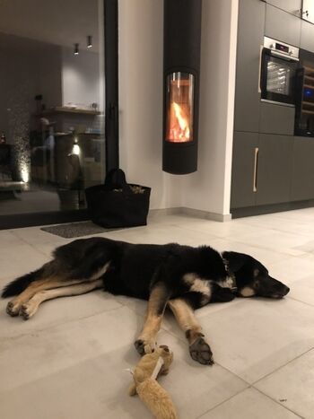 in den kühlen Jahreszeiten mit Kamin ( innen und außen) 