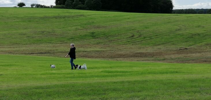 Endlose Wiesen in Gustow auf Rügen