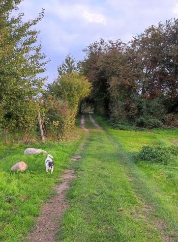 Spazierweg direkt hinter dem Gutshaus