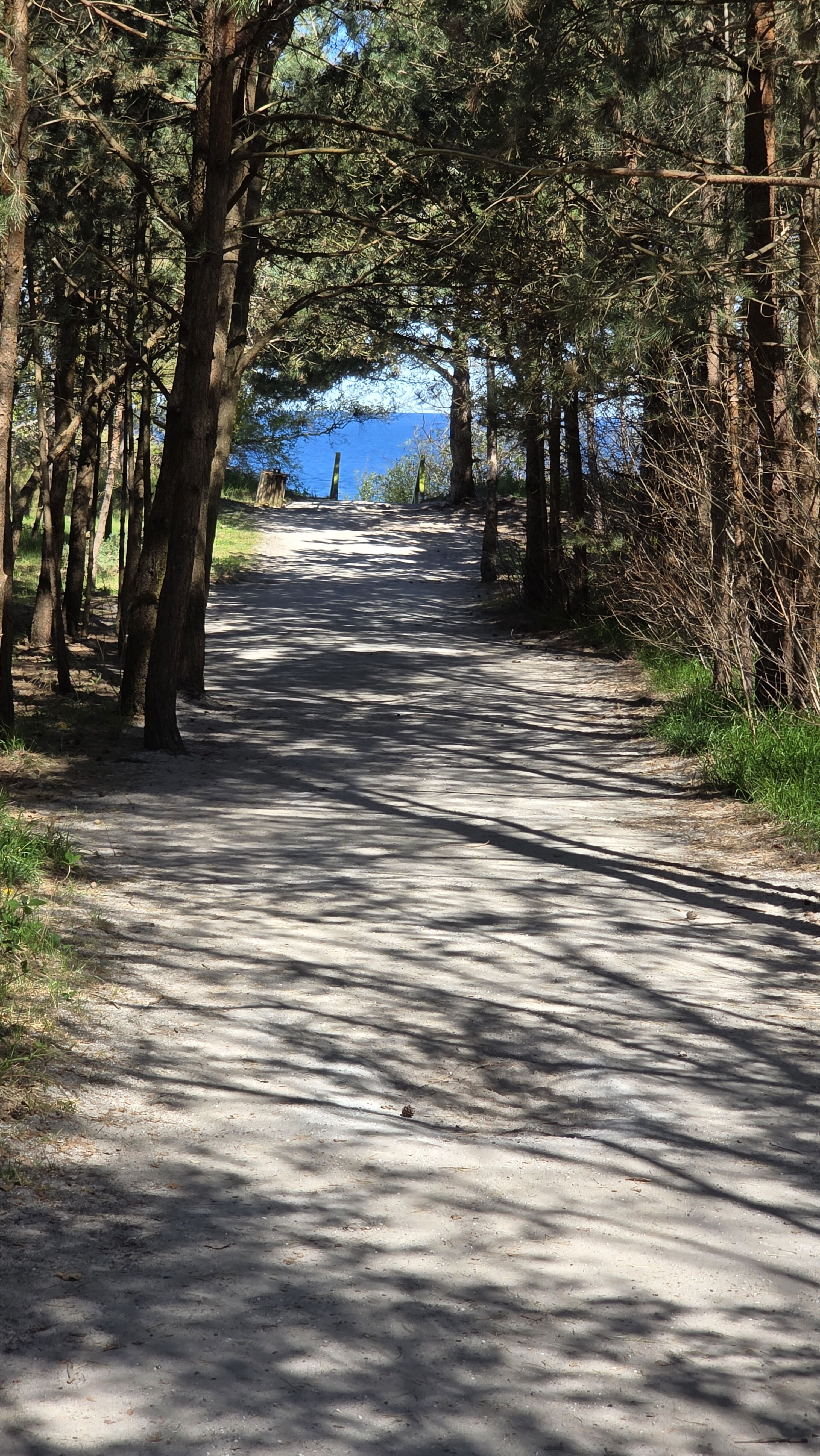 Der Weg zum Meer