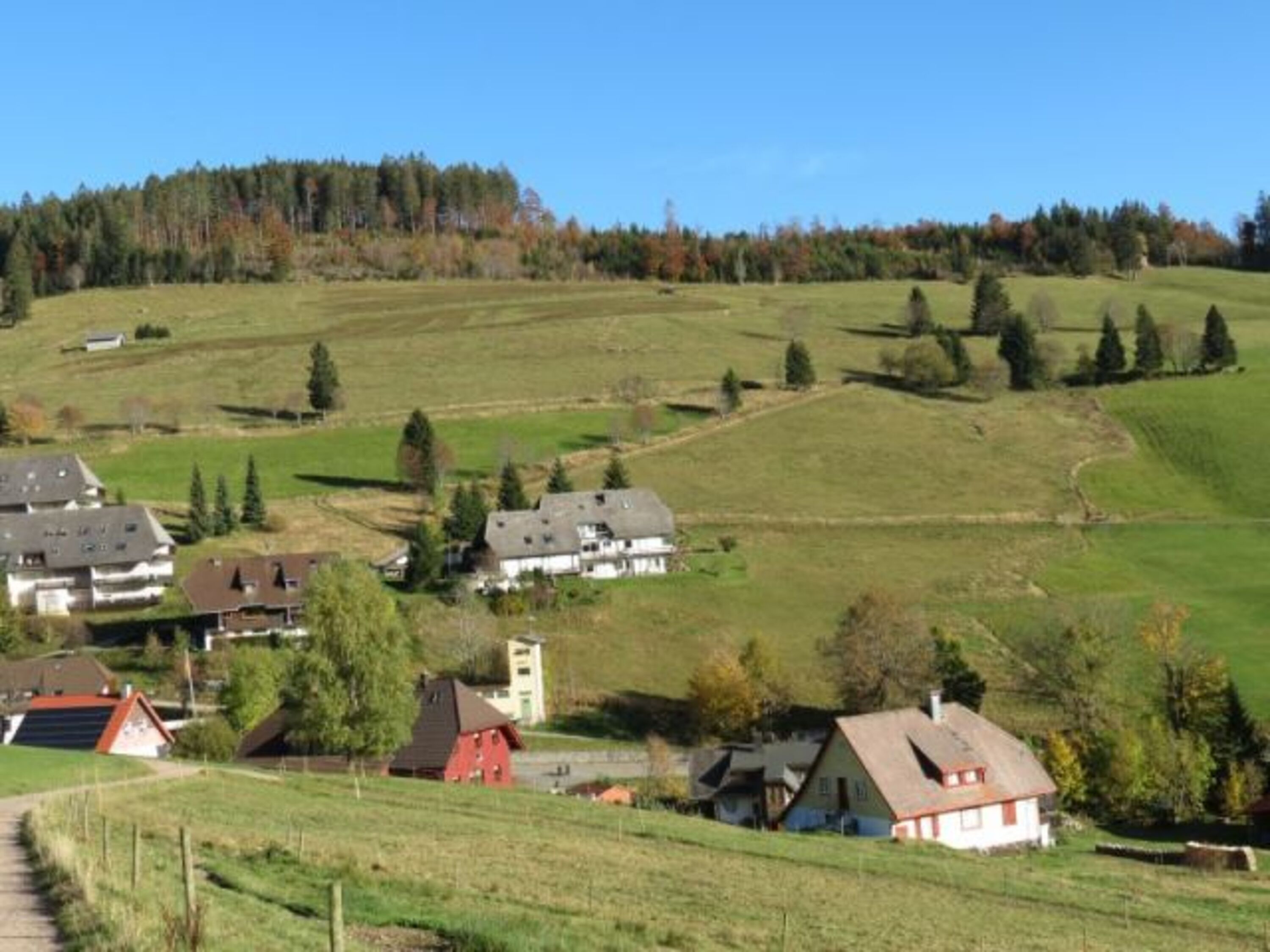 Bild 11