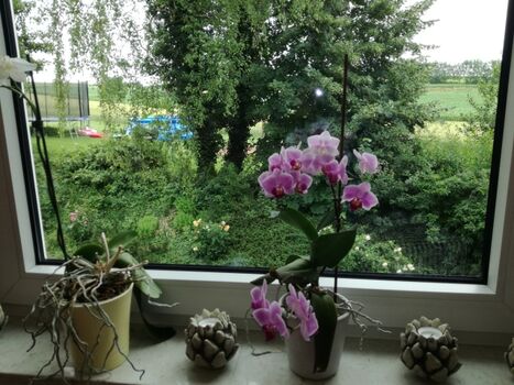 Toller Ausblick aus den großen Fenstern und vom Balkon