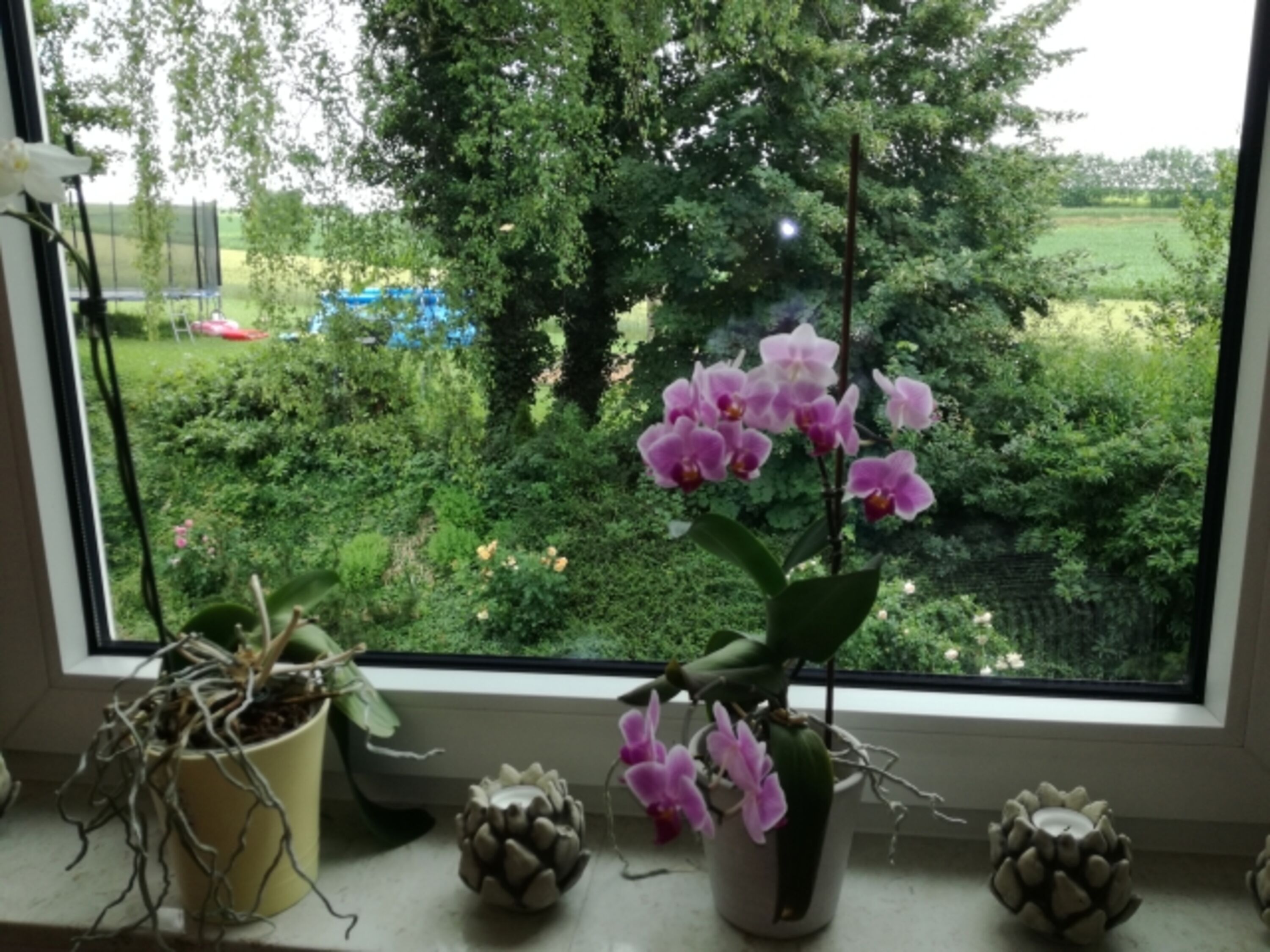 Toller Ausblick aus den großen Fenstern und vom Balkon