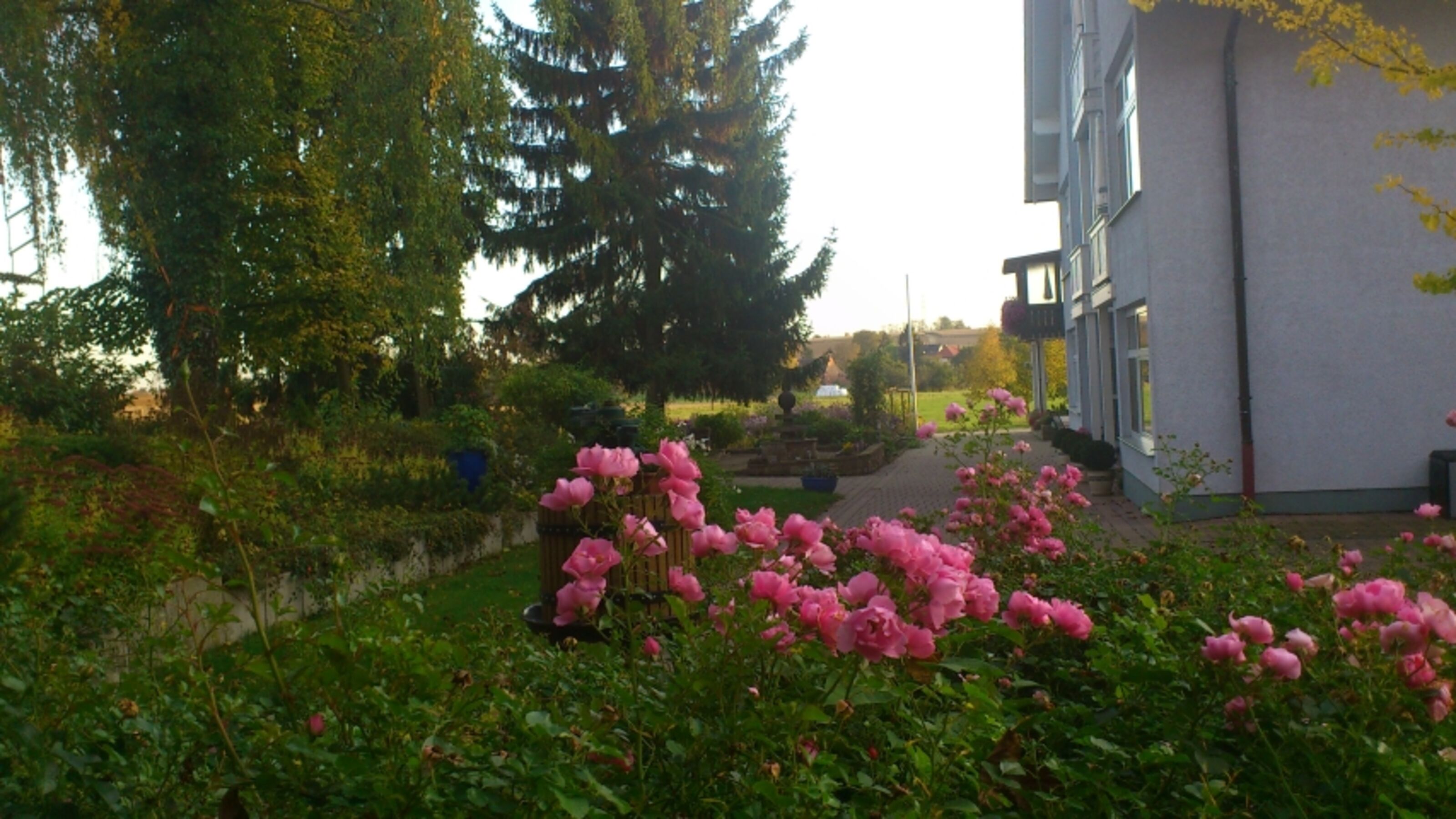 Bild 27