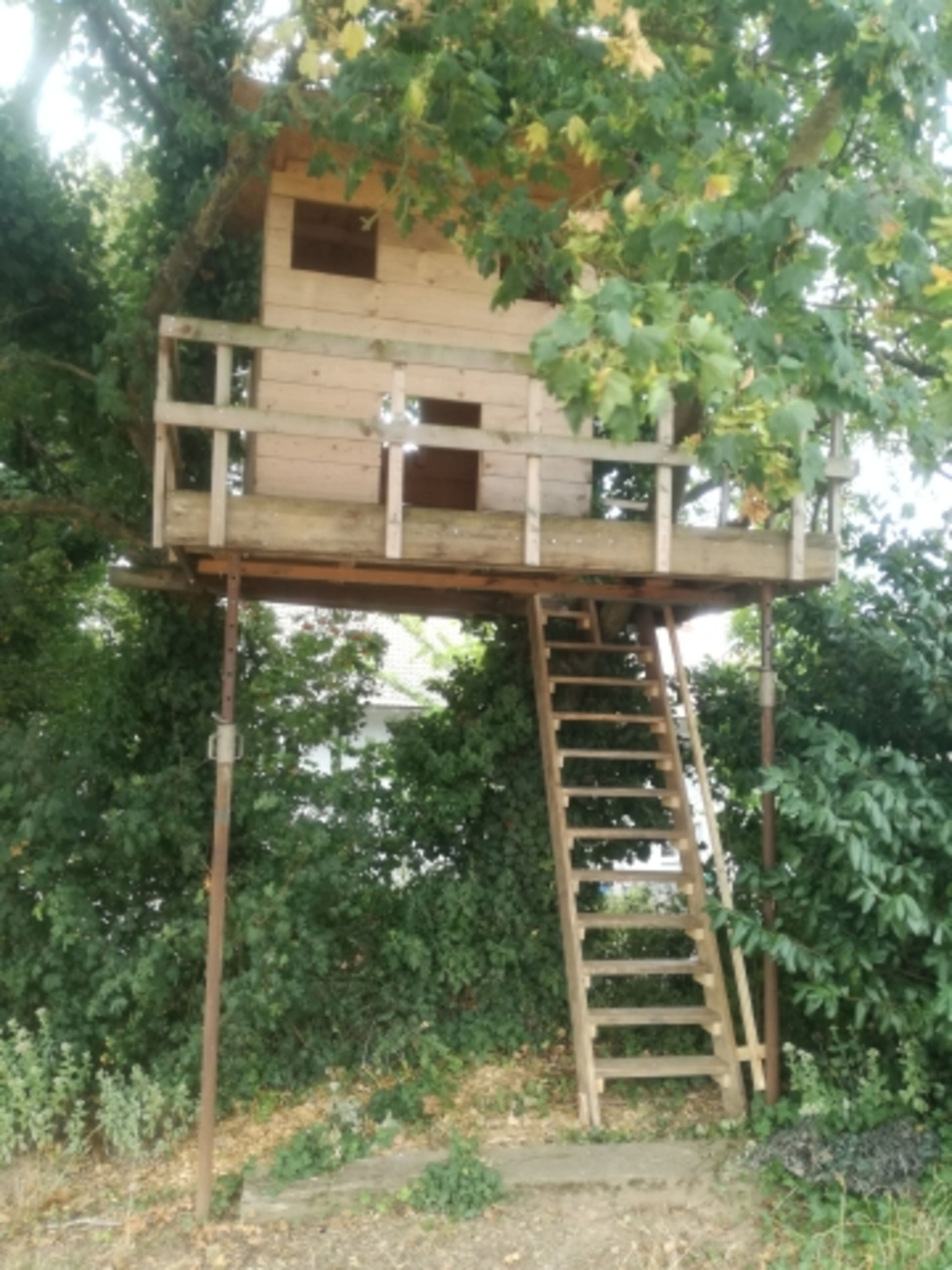 Bild 22