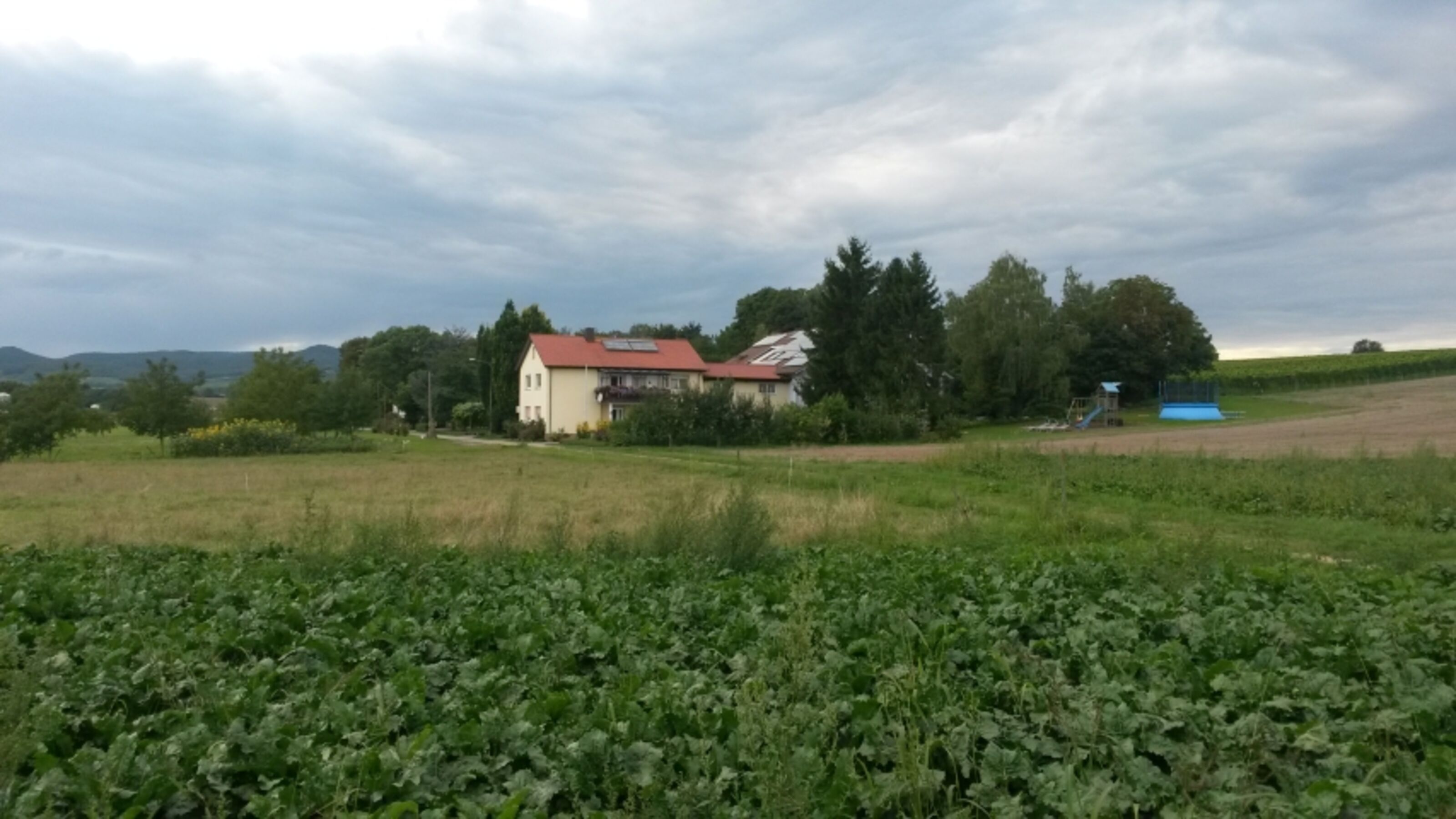 Bild 29